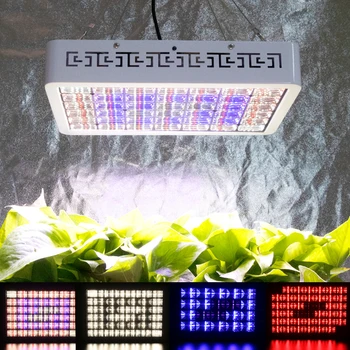3000W Zaprtih prostorih, Raste Svetlobe Led Ffs Lučka Za Gojenje Cvetenja Vegs Nastavljiv Spektra Časovnik Phytolamp Za Rastline Rastejo Šotor Led