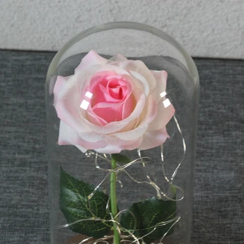 2020year lepote in rdeče, roza zveri v stekleno kupolo v bučko na leseno osnovo za Valentinovo, materinski Dan darilo