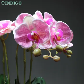 INDIGO Roza Orhideja Phalaenopsis (5 cvet/vreteno) Pravi Dotik Umetno Cvet Orhideje Poroko Cvet Cvetni Stranka Dekoracijo