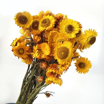 40-50 Glave Zlata, Oranžna, Roza Naravno Posušeni Cvet Daisy Poročni Šopek Rož Suh Cvet Konzervirane Cvet Doma Dekoracijo Mize
