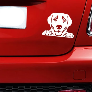 15*10,7 cm Kukanja Humor Srčkan Lep Labrador Retriever Vinil Car Wrap Nalepke Avto Nalepko Dekor
