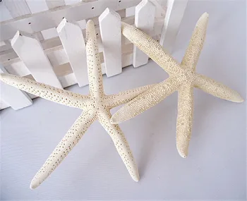 5pcs/veliko 8-16 cm Bela morska Zvezda pravo Sredozemsko slog Prst Star ribe
