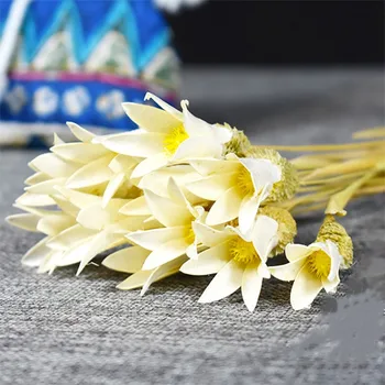 10pcs Posušeno Cvetje Ročno Flores Preservadas Za DIY Poročni Sobi Doma Kabinet Zaslon Dekor Valentinovo Darilo Božič