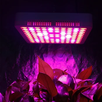 V zaprtih prostorih Led Grow Light 1000W Celoten Spekter Ffs Lučka Za Rastline, ki Raste In Cveti Z IR UV Led Rastejo Šotor Luči Za Obrat