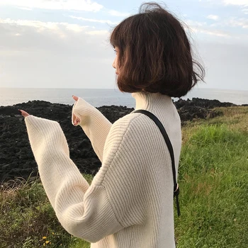 5 barv 2018 jeseni in pozimi breif slog, barva turtleneck tople puloverje in puloverji ženska (F1311)