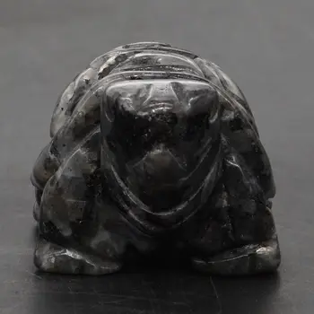 Želve Želva Figur 2