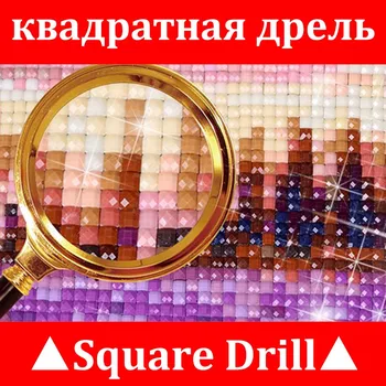5D DIY Diamond slikarstvo Navzkrižno šiv Risanka metulj Celoten kvadratni Diamond vladarski Portret oči krog Diamond mozaik Lepote 6