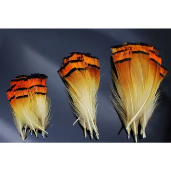 Tigofly 50 kos Izbor Naravnih Zlate Barve Fazan Vodja Kluba Pero Letenje Vezava Gradiva