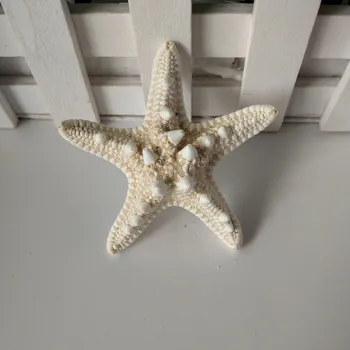 Mediteranska DIY Lupini Dekoracijo Plaži sea star Naravnih Školjk Obrti Akvarij Dekoracijo bela zvezda conch
