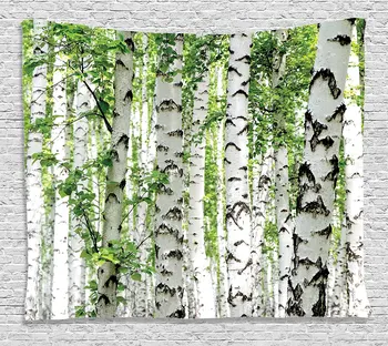 Gozd Tapiserija Steni Visi Breze v Gozdu Poletnem času Divje Narave Tematskih Okrasitev Slike Domu Dekor