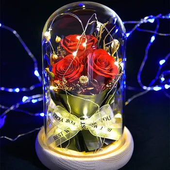 Lep Večno Rose Eternelle LED Luči, Lepotica In Zver, Posušeno Cvetje V Stekleno Kupolo, Za mamin Rojstni dan, valentinovo