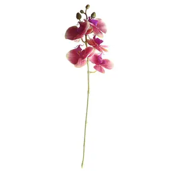 INDIGO Roza Orhideja Phalaenopsis (5 cvet/vreteno) Pravi Dotik Umetno Cvet Orhideje Poroko Cvet Cvetni Stranka Dekoracijo