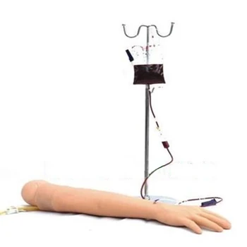 Življenje Velikost Anatomski Phlebotomy Venipuncture Praksi Roko anatomyInjection praksi Zdravstvene Simulator medicinska Sestra komplet Usposabljanje
