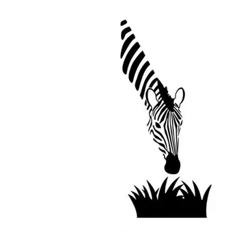 Zebra Stene Decals je Sodobna Umetnost Dekoracijo Za vaš Kuhinji, Spalnici ali Dnevni Sobi Izmenljive Stenske Nalepke so Freske Dekor Travo ZB370