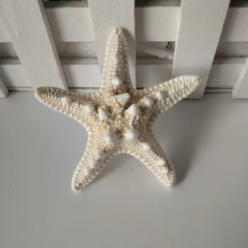 Mediteranska DIY Lupini Dekoracijo Plaži sea star Naravnih Školjk Obrti Akvarij Dekoracijo bela zvezda conch