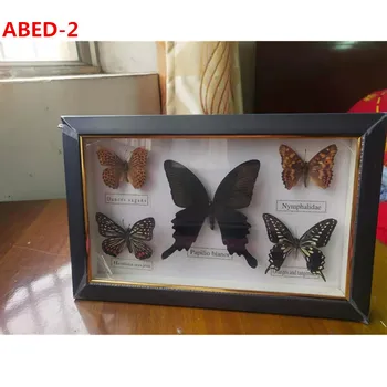 1 nastavite metulj vzorcu photo frame = 5pcs metulj vzorcu obrti, darila dom okraski okraski doma odlikovanja