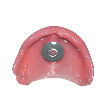 1Set Zobni Laboratorij Zobne Bedak Proteza Ploščo Hrambe Za Celotno Zgornjo Protezo ali Akril Delna Proteza