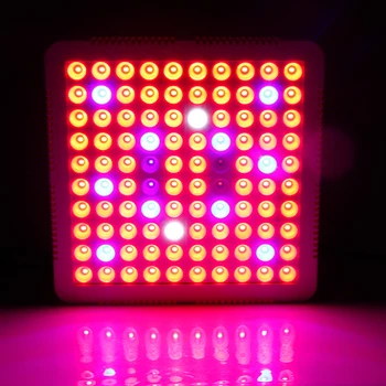1000W Ffs Lučka Celoten Spekter LED Grow Light Rdeča Modra Bela IR UV Lučke Za Notranjo Gojenje Rastejo Šotor Rastlin Phytolamp Fitolamp