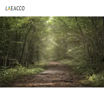 Laeacco Zeleno Poletje Gozd, Drevo, Listi Park Način Naravnih Panoramska Fotografija Ozadje Fotografija Ozadje Za Foto Studio