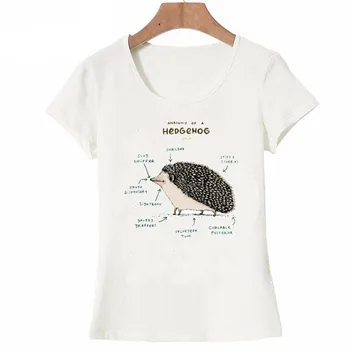 Harajuku Anatomija Ježa natisni T-Shirt 2018 nove poletje novost ženske t-shirt je Preprost stil dekle moda Vrhovi ženske Tees