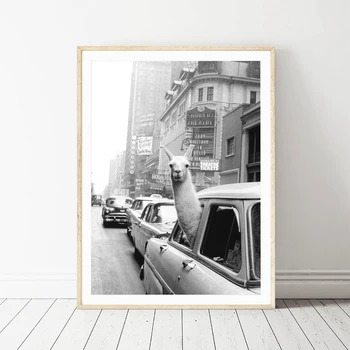 NOOG Lame v taksi na Times Square Platno, Tisk in Plakat Letnik lame Tiskanja New York City, Fotografijo, Sliko Wall Art Dom Dekor