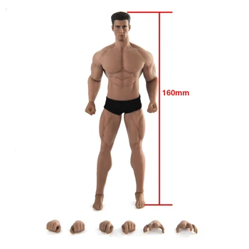 Moški Akcijska figura telo TBLeague TM02A 1/12 obsega mišičastega Moškega Telesa in Vodja Model Prilagodljiv Phicen Slika Lutka Model Igrače