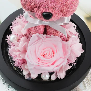 2020New Rose nosi Roza Mini Medved Rose v Stekleno Kupolo Noč Svetlobe Lepotica In Zver Romantično Valentinovo, materinski Dan, Darila