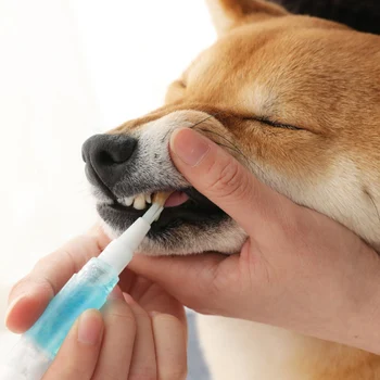 Hišni Pes Beljenje Zob Pero Zobne Ščetke Zobni Kamen Čiščenje Lepoto Orodja J99Store