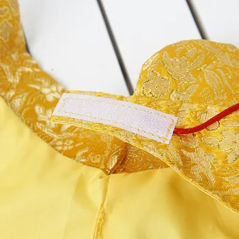 Kitajsko Novo Leto Obleke Za Psa Zimska Oblačila Stranka Plašč Kostum Kitajske Tang Dinastije Obleko Rdeče Sredstev Mucek Za Psiček